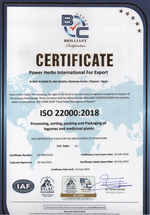 iso Certificate