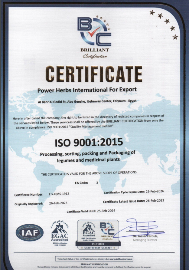 iso Certificate